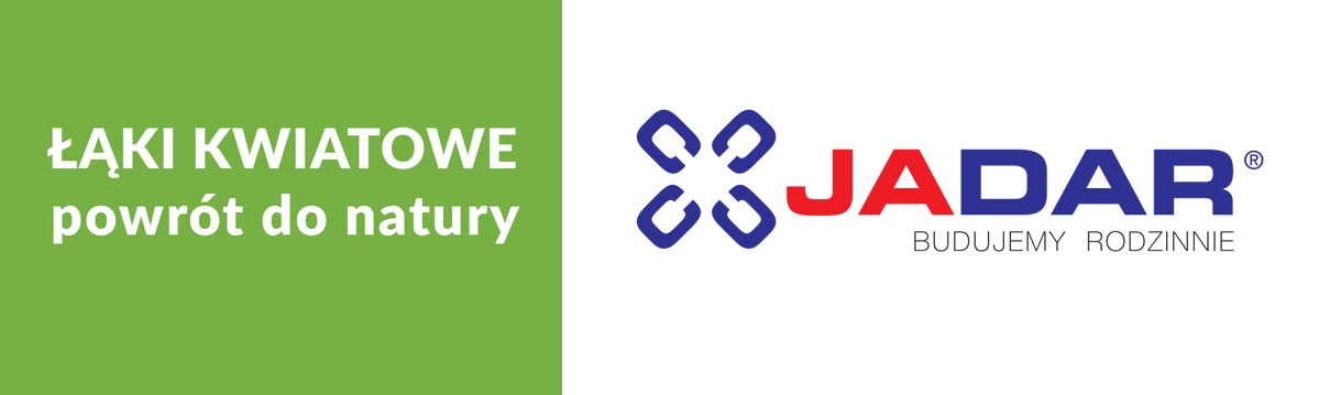 Łąki kwiatowe - powrót do natury