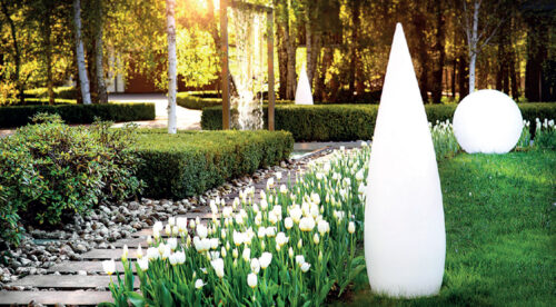 Łąki kwiatowe – powrót do natury