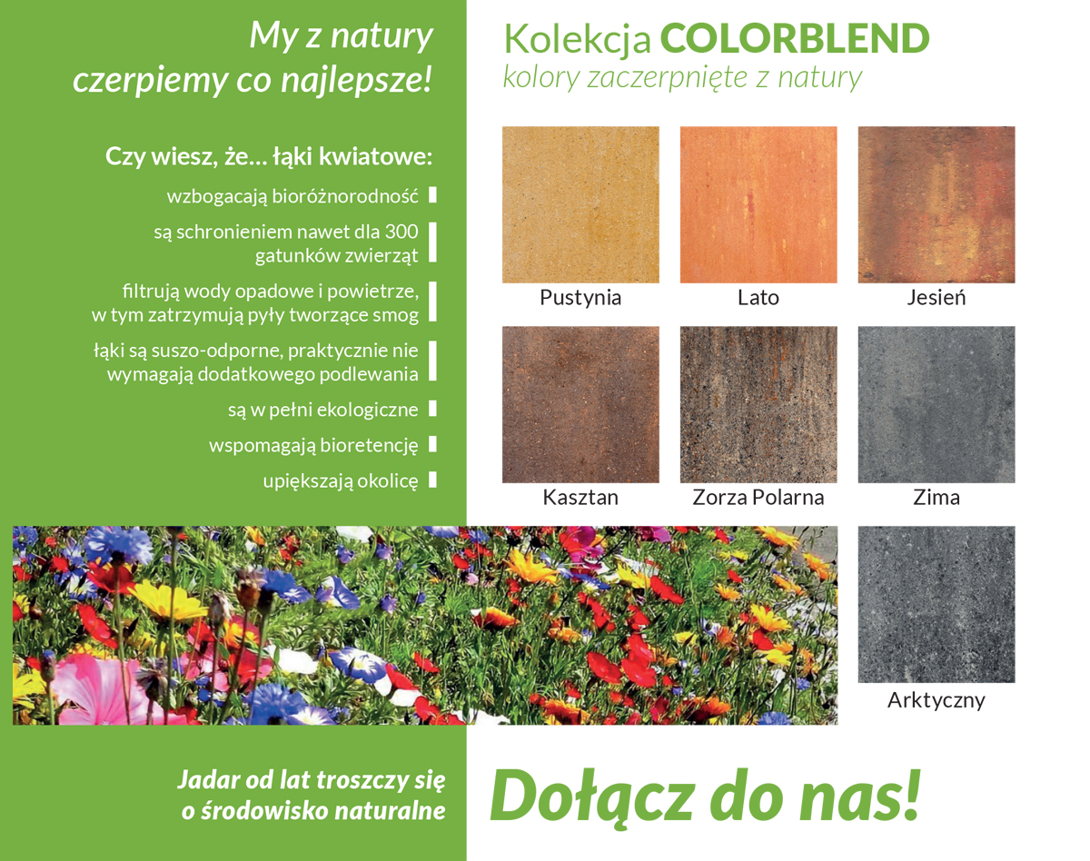 Łąki kwiatowe - powrót do natury