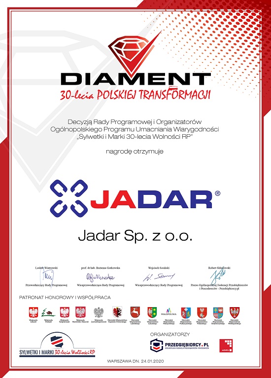 dyplom diament30 lecia 17 male