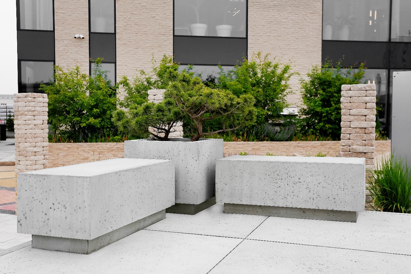 sadzenie drzew w donicach betonowych 2