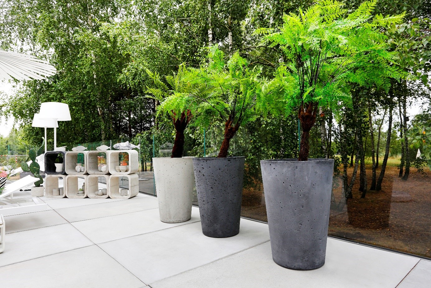 sadzenie drzew w donicach betonowych